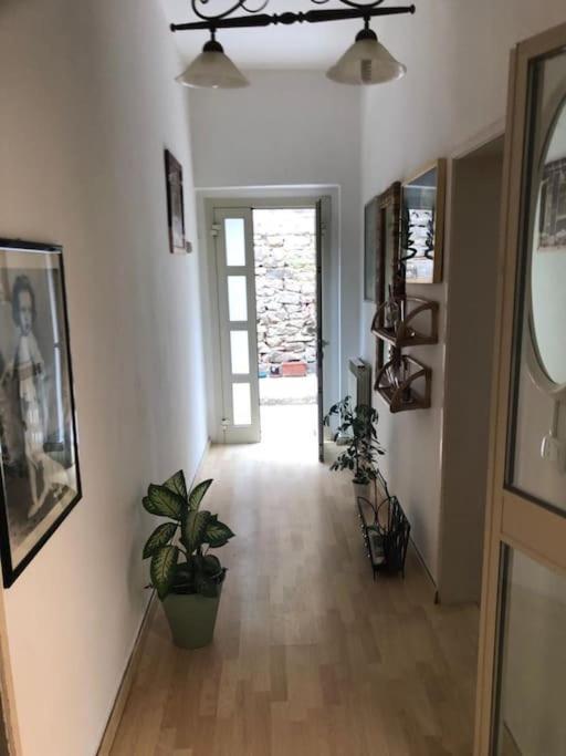 קסטליונה דלה פסקאיה Appartamento Incantevole A 100Mt Dal Mare מראה חיצוני תמונה
